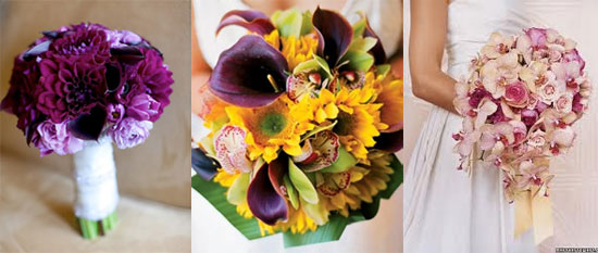 Fresh dahlias flowers for weddings