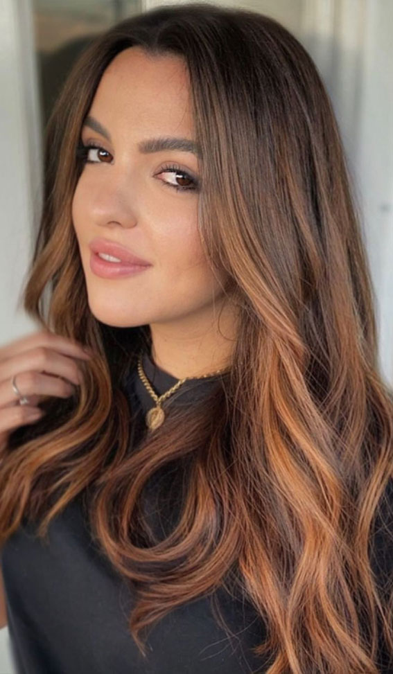 mahogany hair color, brunette hair color, best fall hair color ideas 2021, copper and honey hair color, brown hair with highlights, autumn hair colour trends 2021