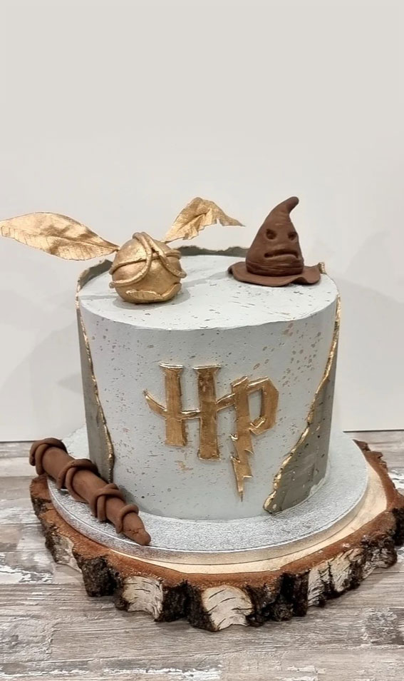 9 Harry Potter Cake Ideas That Will Blow Your Mind