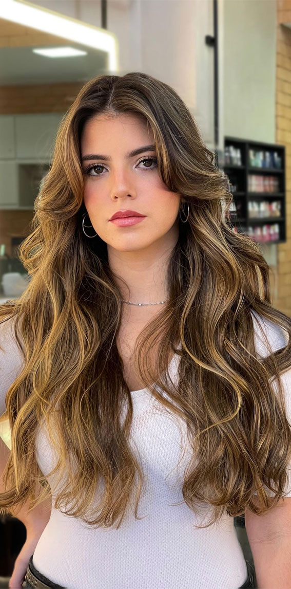49 Autumn 2022 Hair Colour Trends : Brunette with Blonde Highlights