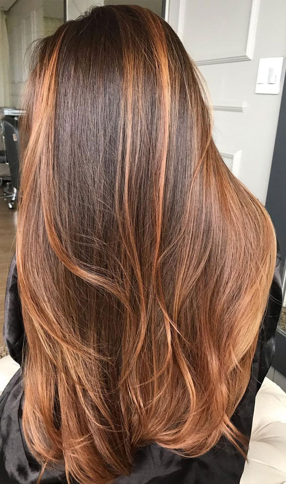 70+ Trendy Hair Colour Ideas & Hairstyles : Copper + Chestnut Long Hair