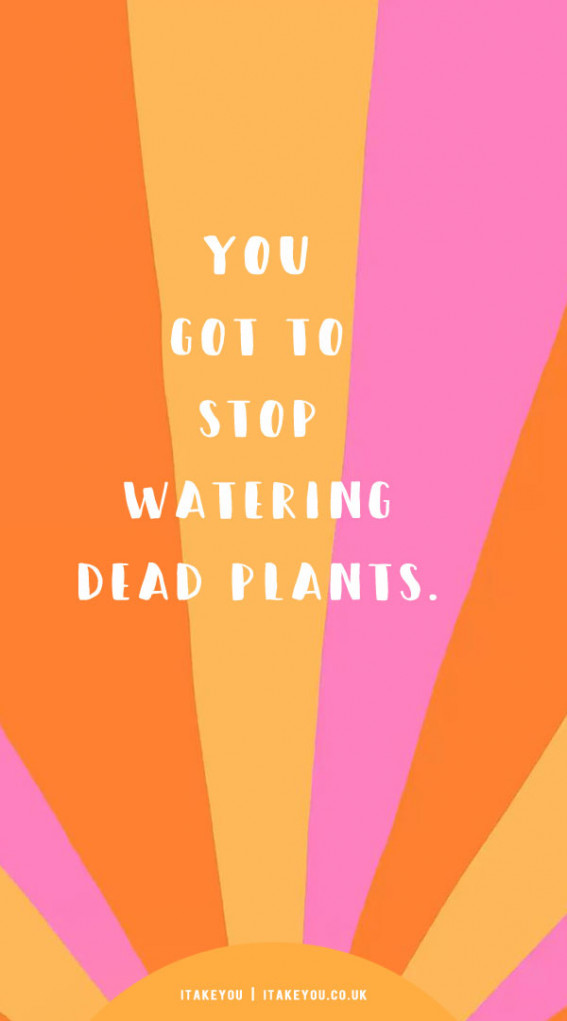 30 Don’t Waste Your Time Quotes : You Got To Stop Watering Dead Plants