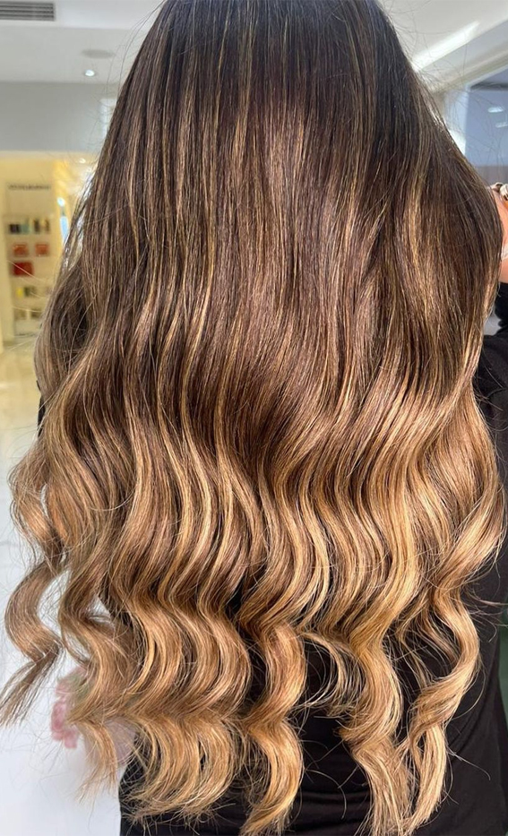 Sophisticated Hair Colour Ideas for a Chic Look : Brunette with Ombre Honey Highlights
