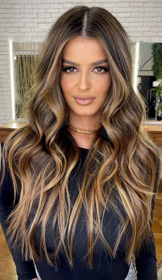 Sophisticated Hair Colour Ideas for a Chic Look : Brown Hair with Honey & Caramel Highlights