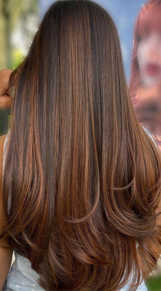 54 Trendy Hair Colour Ideas to Rock This Autumn : Copper Chestnut Brown Layers