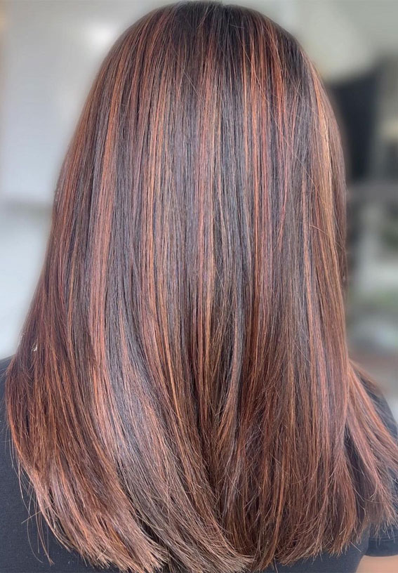 54 Trendy Hair Colour Ideas to Rock This Autumn : Chestnut Brown Baby Lights