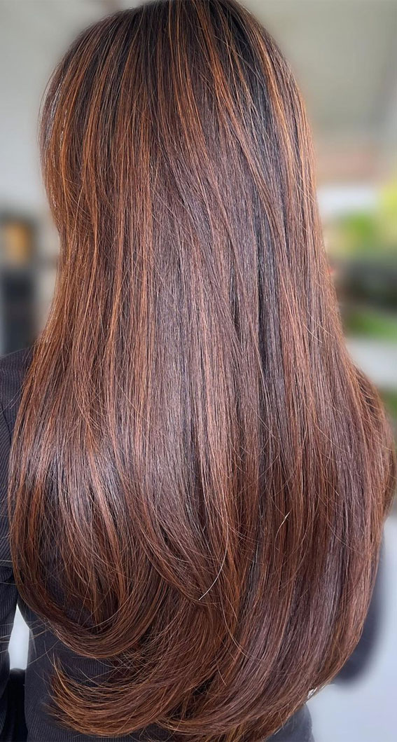 54 Trendy Hair Colour Ideas to Rock This Autumn : Warm Brown Long Layers