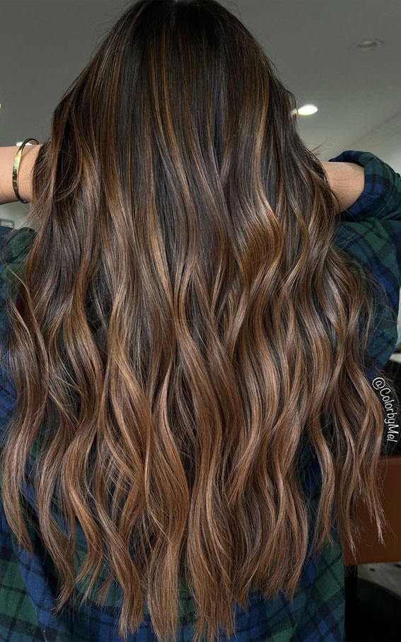 Warm and Inviting Fall Hair Colour Inspirations : Warm Toasty Balayage