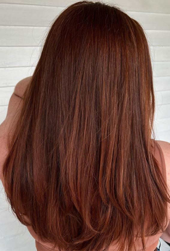 50 Fall Hair Colour Ideas for a Cozy Season : Dark Auburn Layered Natural Look