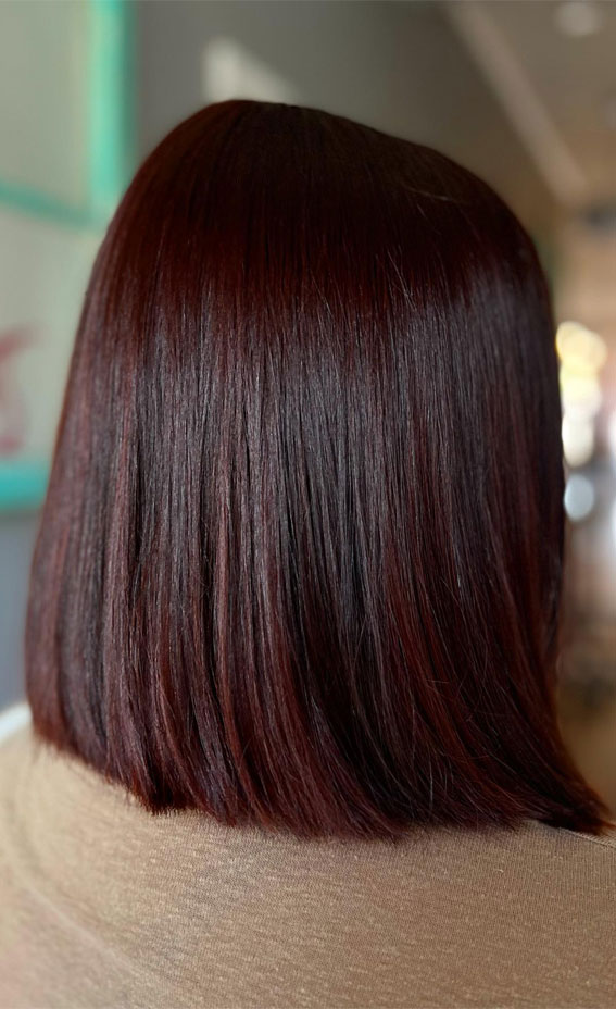 50 Fall Hair Colour Ideas for a Cozy Season : Cola Hair Colour Lob Hairstyle