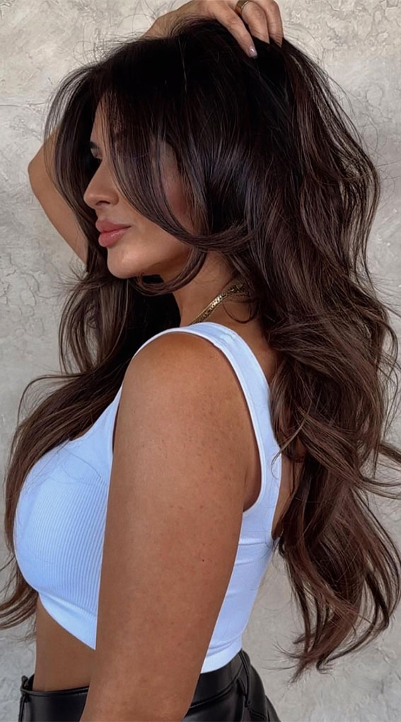 50+ Captivating Hair Colors for the Chilly Season : Autumn Brunette