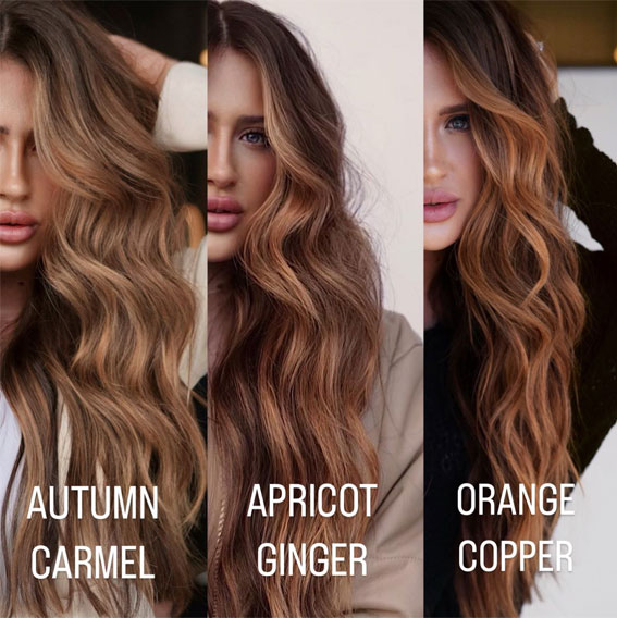 50+ Captivating Hair Colors for the Chilly Season : Apricot Ginger
