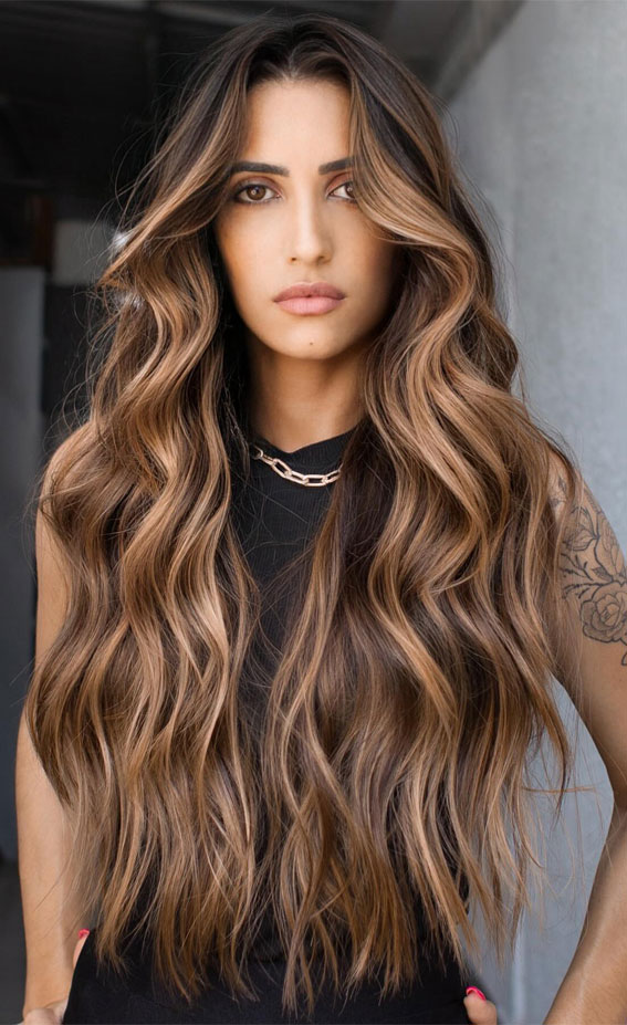 50+ Captivating Hair Colors for the Chilly Season : Copper Highlights
