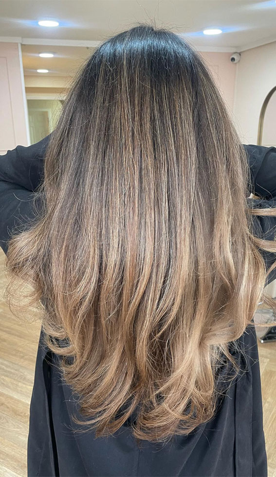 Fresh Hair Colour Ideas to Welcome the Season : Blended Biscuit Balayage Long Layers