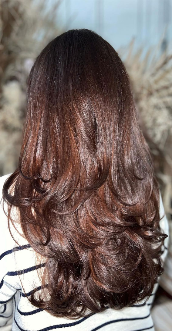 15 Dark Chestnut Hair Colour Ideas for a Timeless Look : Shiny Layered Chestnut Long Hair