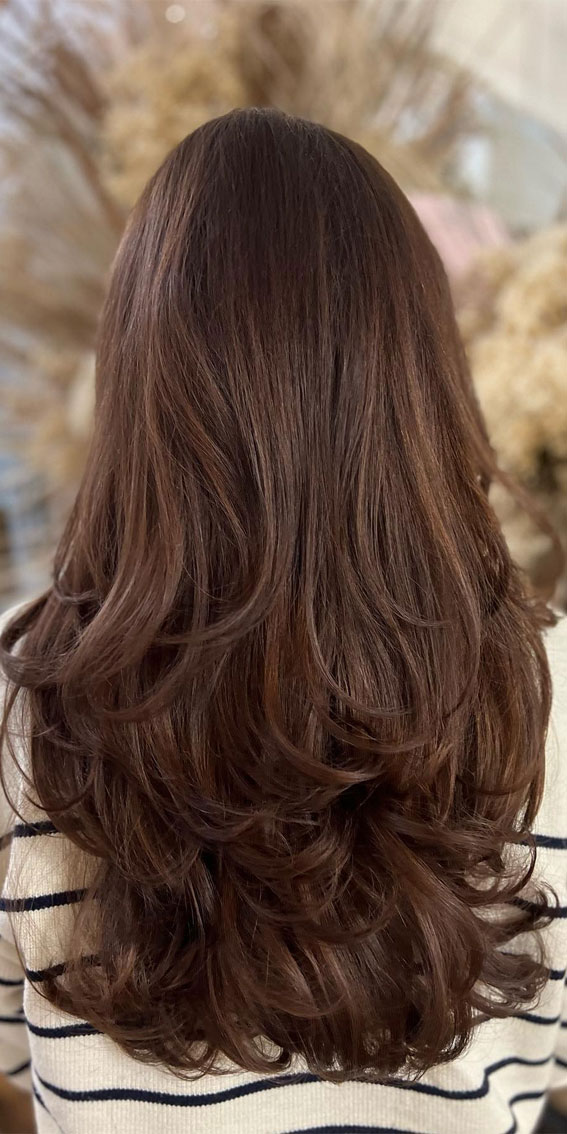 15 Dark Chestnut Hair Colour Ideas for a Timeless Look : Deep Chestnut Long Layers