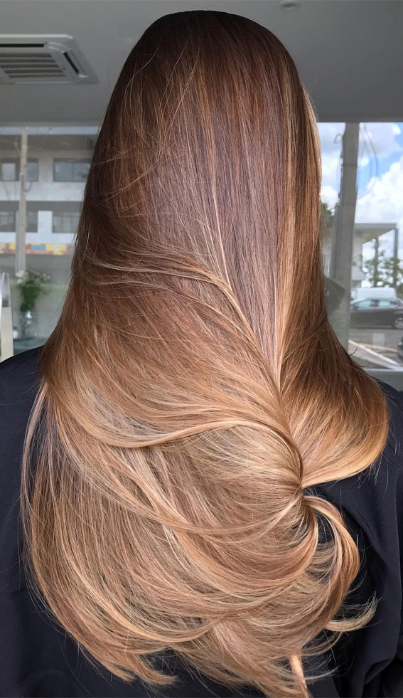 27 Effortlessly Elegant Long Straight Hairstyles That Wow : Rich Brown with Subtle Caramel Highlights