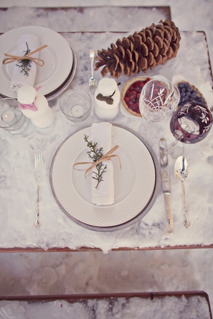 winter wedding tabletop inspiration,winter wedding decorations ideas