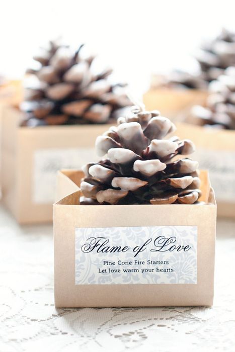 winter wedding favours,pine cone wedding favours,,