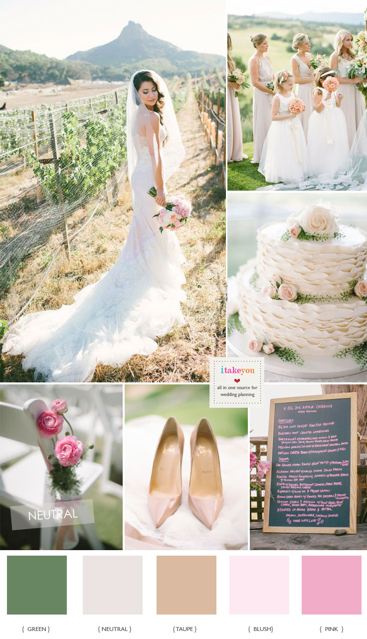 Blush pink wedding colour palette for vineyard wedding