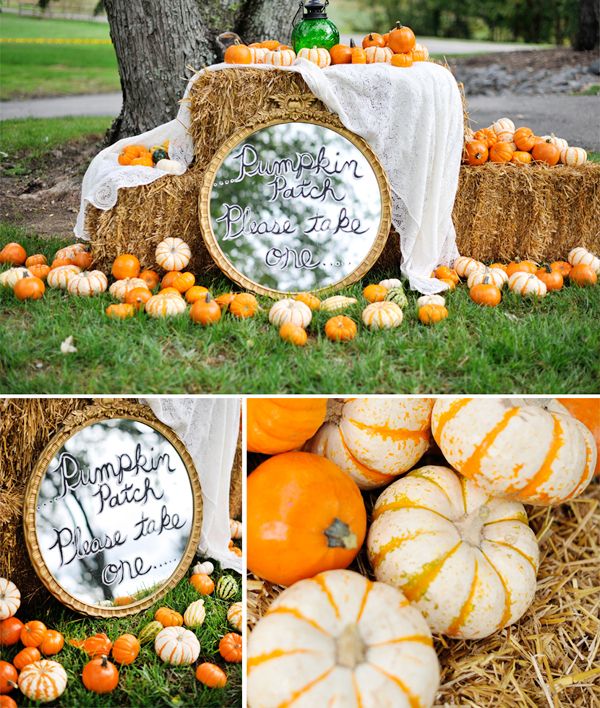 fall pumpkin wedding favors | Pumpkin Details | Autumn Wedding Inspiration