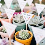 cactus wedding favor, wedding favor , wedding ideas , eco-friendly wedding