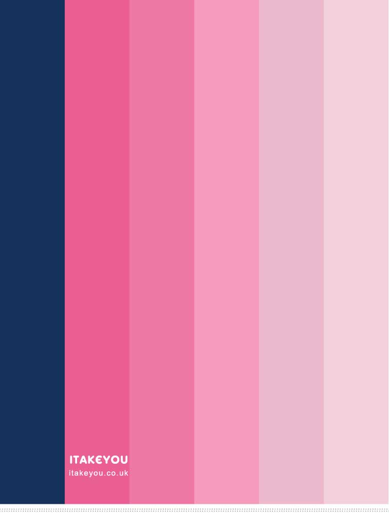 Navy Blue and Fuchsia Color Palette