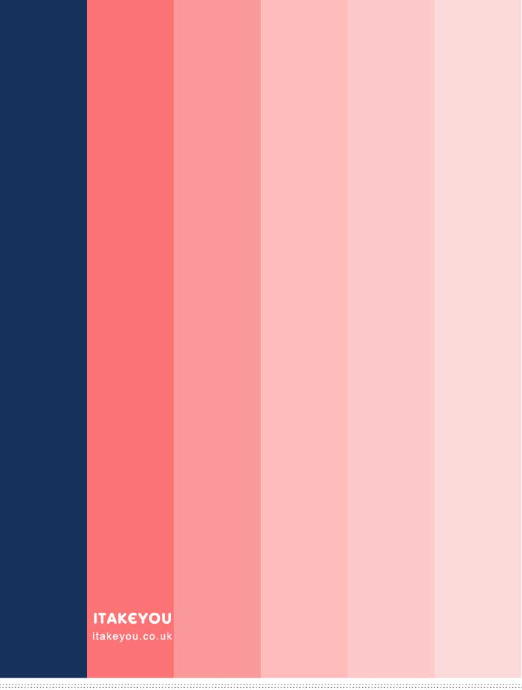 Navy Blue and Coral Color Palette