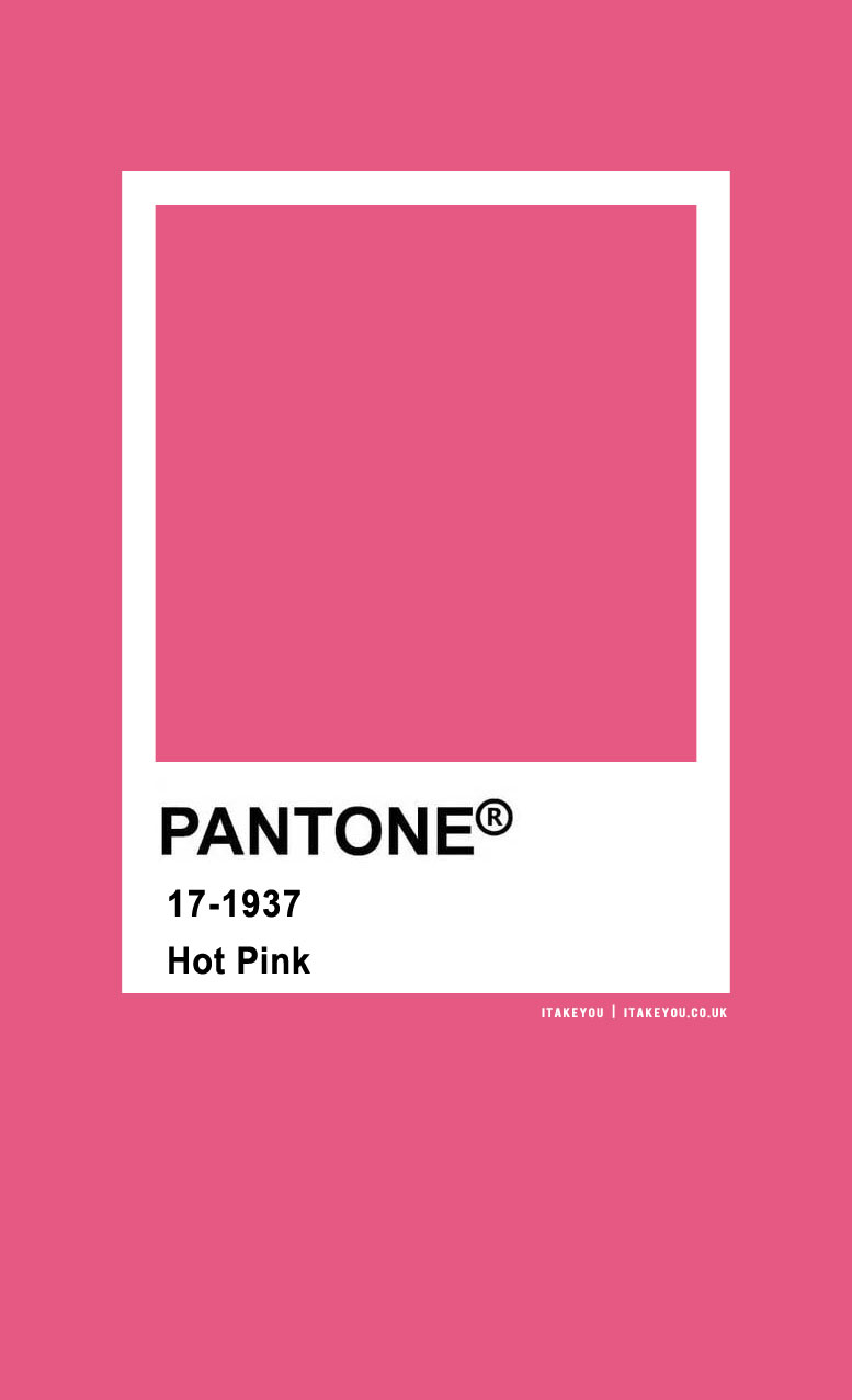 Pantone Color : Pantone Hot Pink
