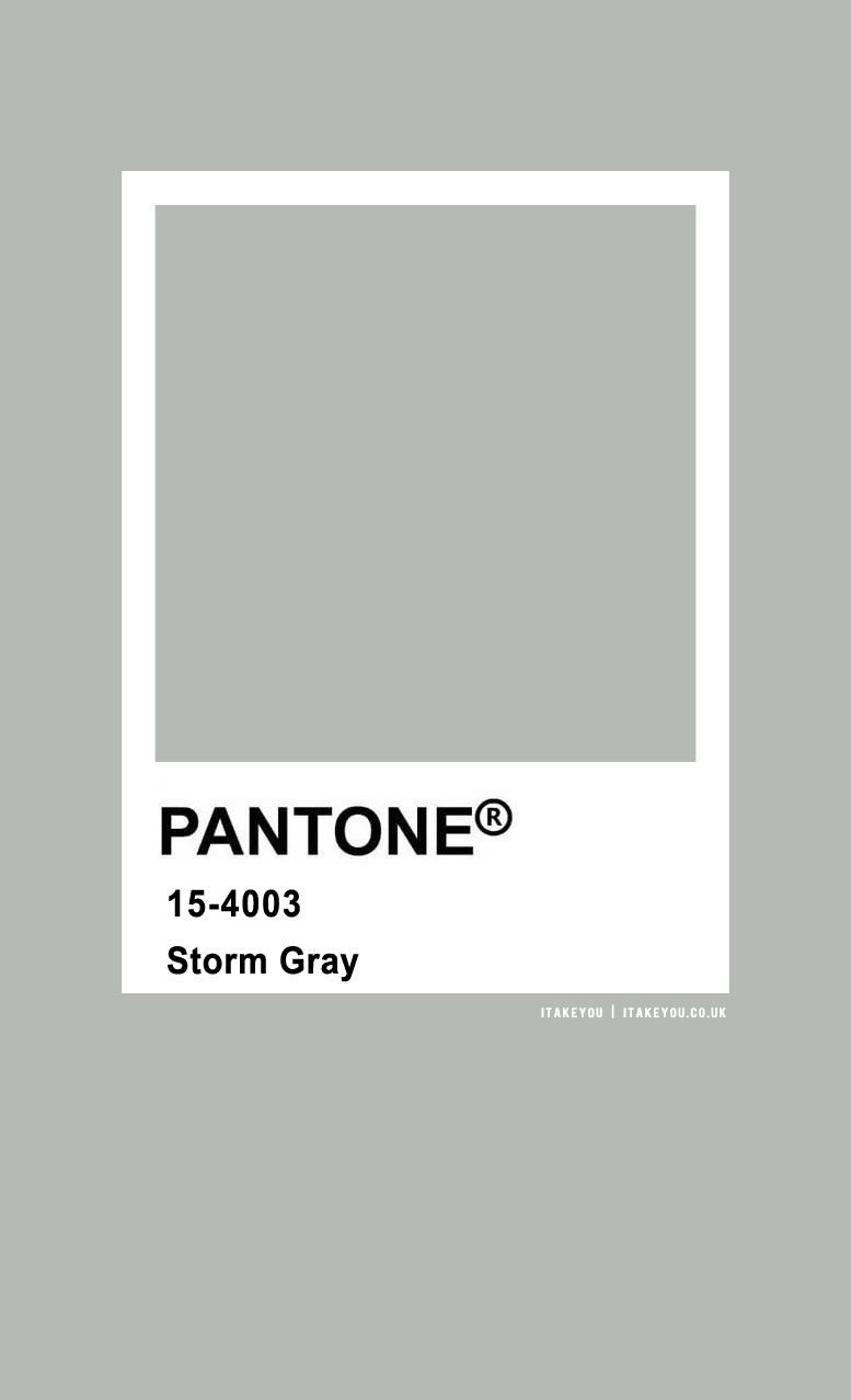 Pantone Color Pantone Storm Gray Color 1 I Take You Wedding Readings Wedding Ideas Wedding Dresses Wedding Theme