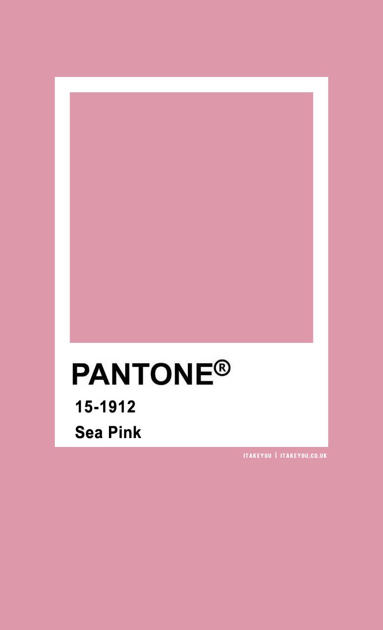 Pantone Color : Pantone Sea Pink