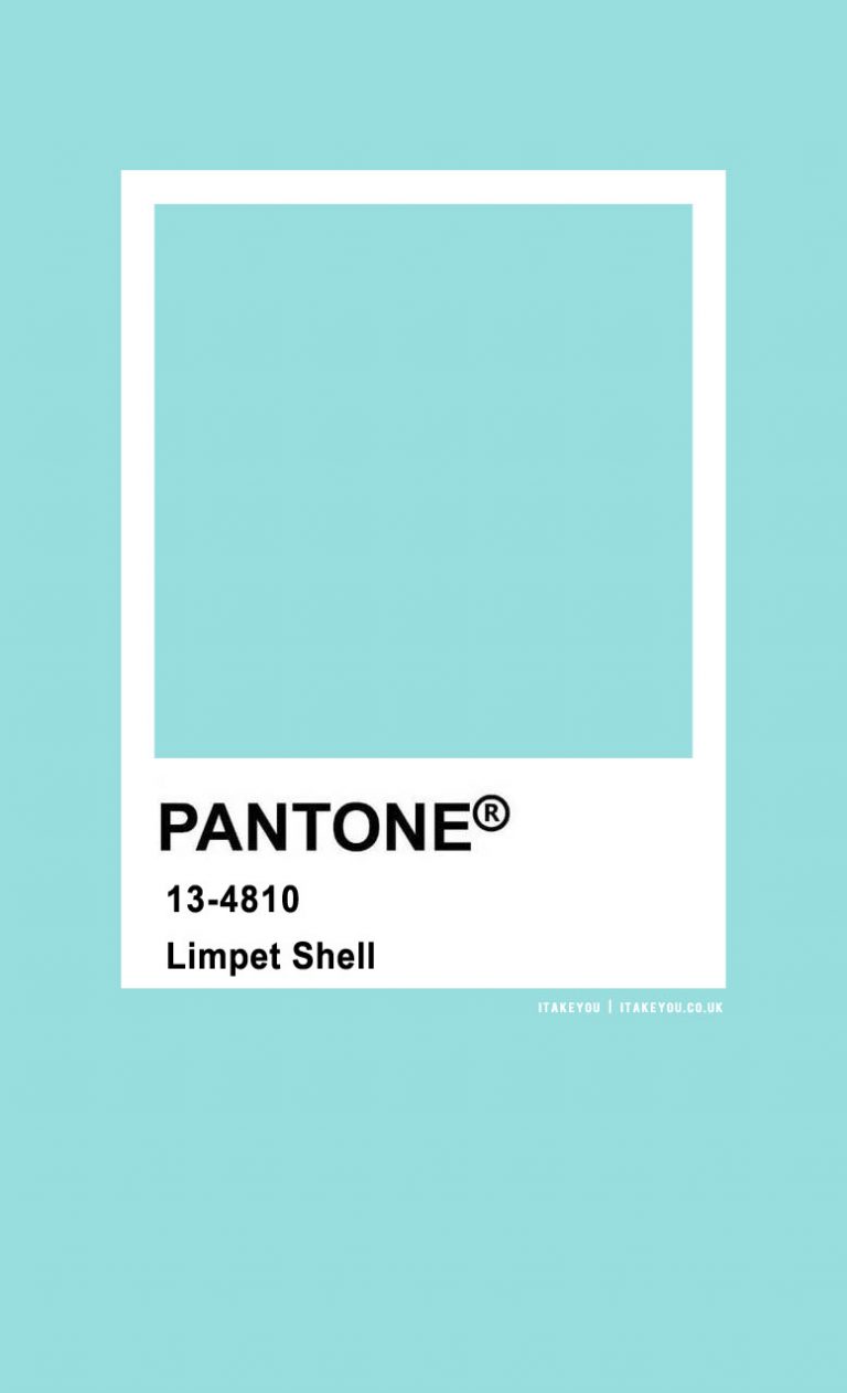 Pantone Color : Pantone Limpet Shell I Take You | Wedding Readings ...