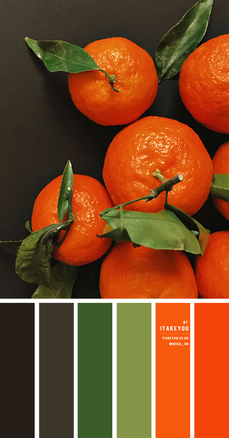 Black Green and Orange Color Scheme – Color Palette #29