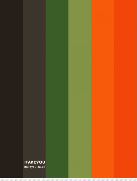 Black Green and Orange Color Combo I Take You | Wedding Readings