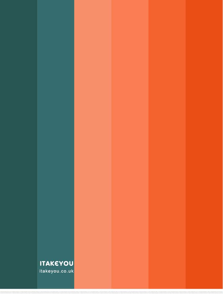 Teal and Orange Colour Combo