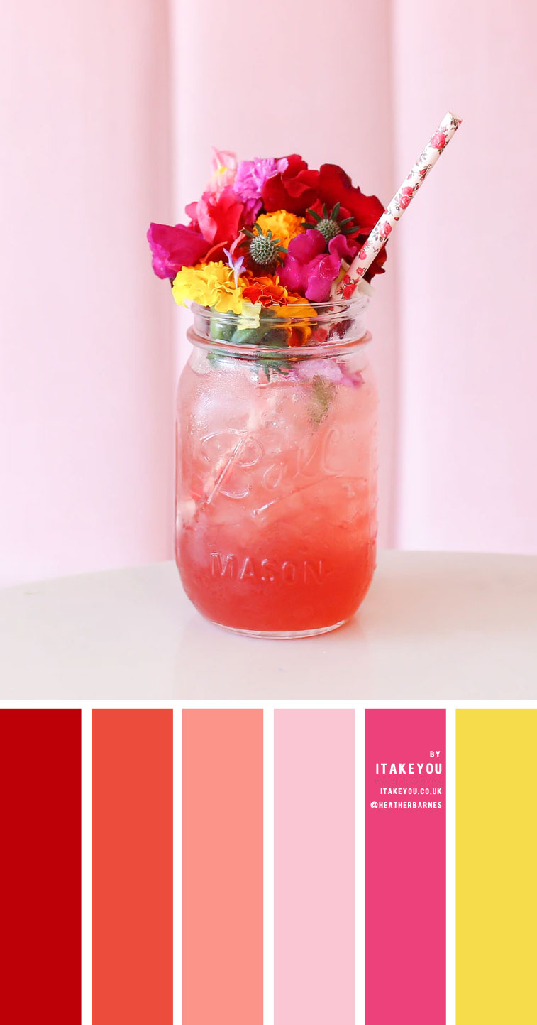 Coral and Pink Colour Scheme – Colour Palette #38