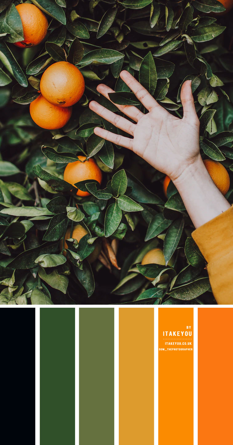 Black Green Orange and Mustard Yellow Color Scheme – Color Palette #33