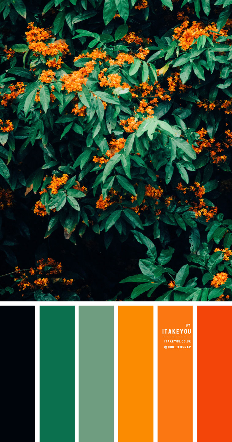 Black Green and Orange Color Scheme – Color Palette #32