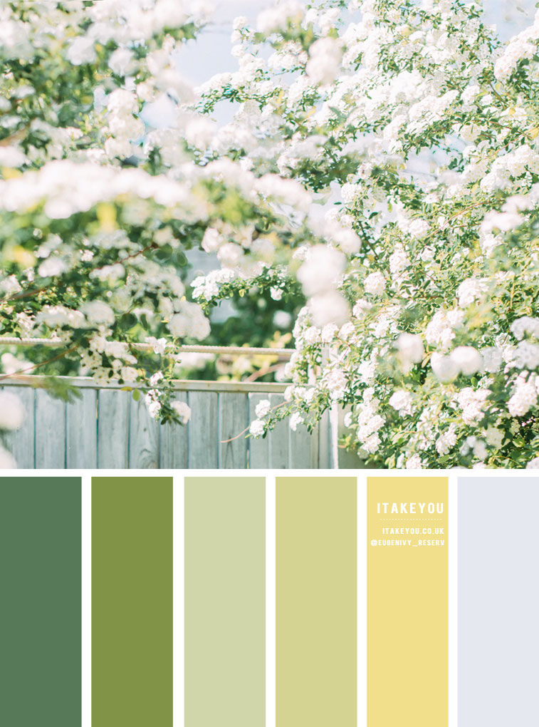 green and yellow color scheme, green and yellow color palette, green and yellow color combo, green color combo, summer color scheme