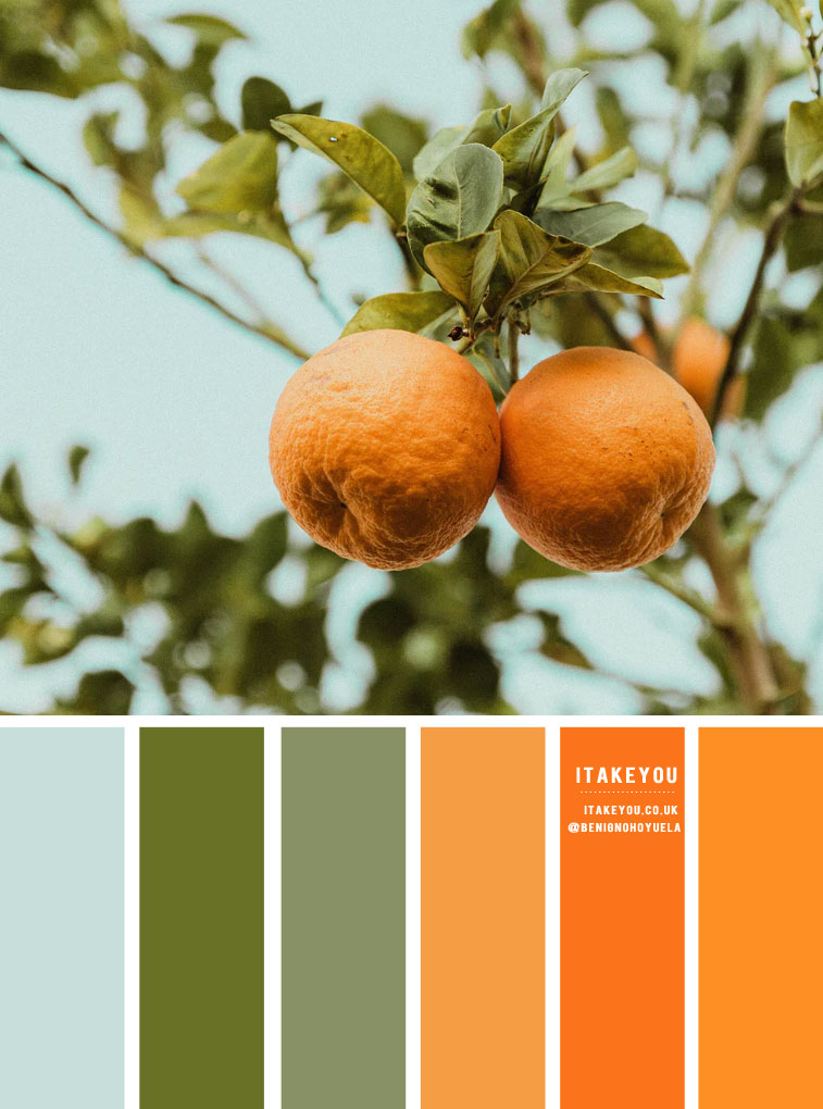 orange and green color palette, orange color combos