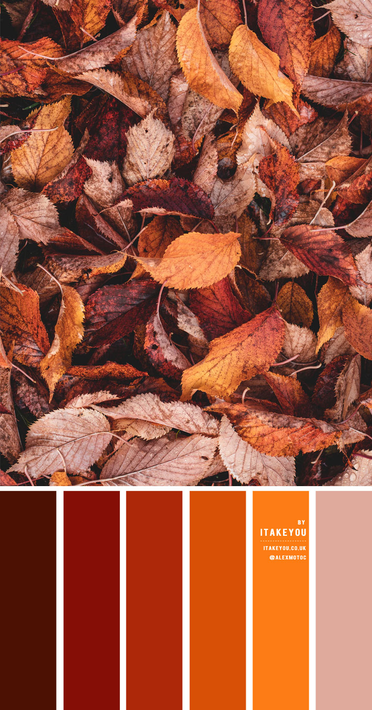 rust color scheme, autumn rust color combo, brown orange taupe color combination, brown burnt orange color combo, color combination with rust