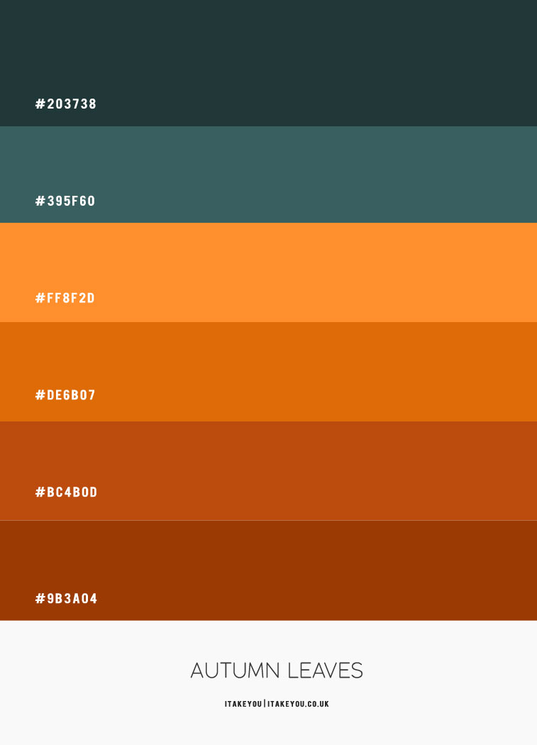 hex color, fall hex color, brown and teal hex color, green teal and brown, autumn color combination, fall color palette, fall color combination, autumn color, teal and brown color palette, brown and teal color palette #colorpalette #colorcombo #autumn 