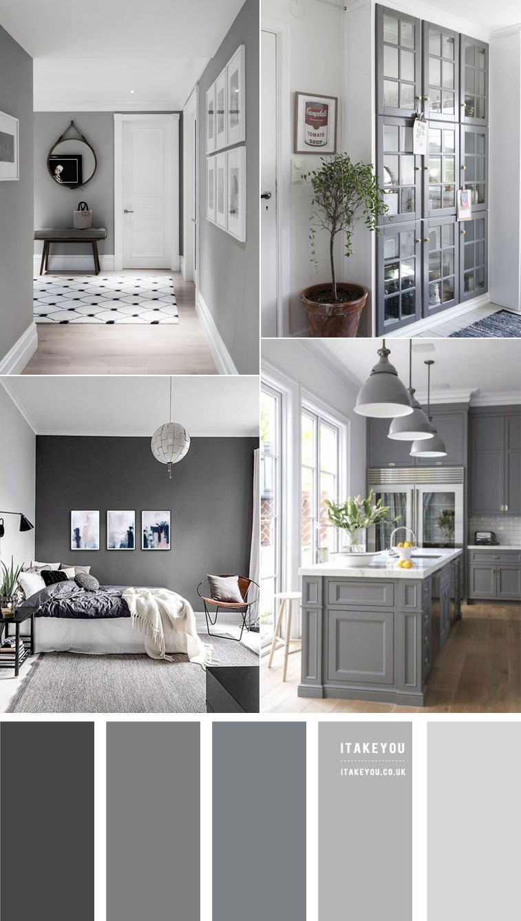 Grey Home Colour Ideas : Grey Colour Palette