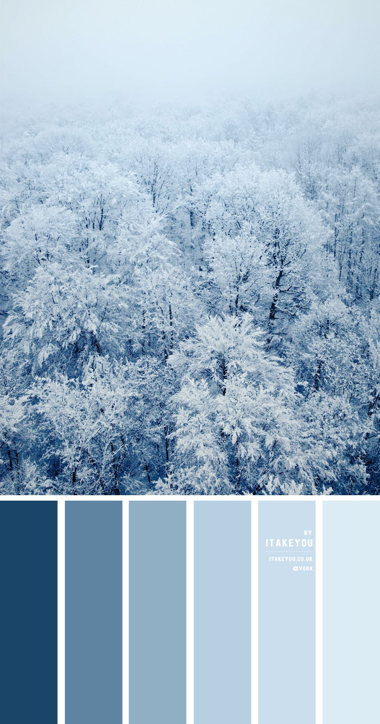 Blue Winter Colour Palette { Shades Of Blue }