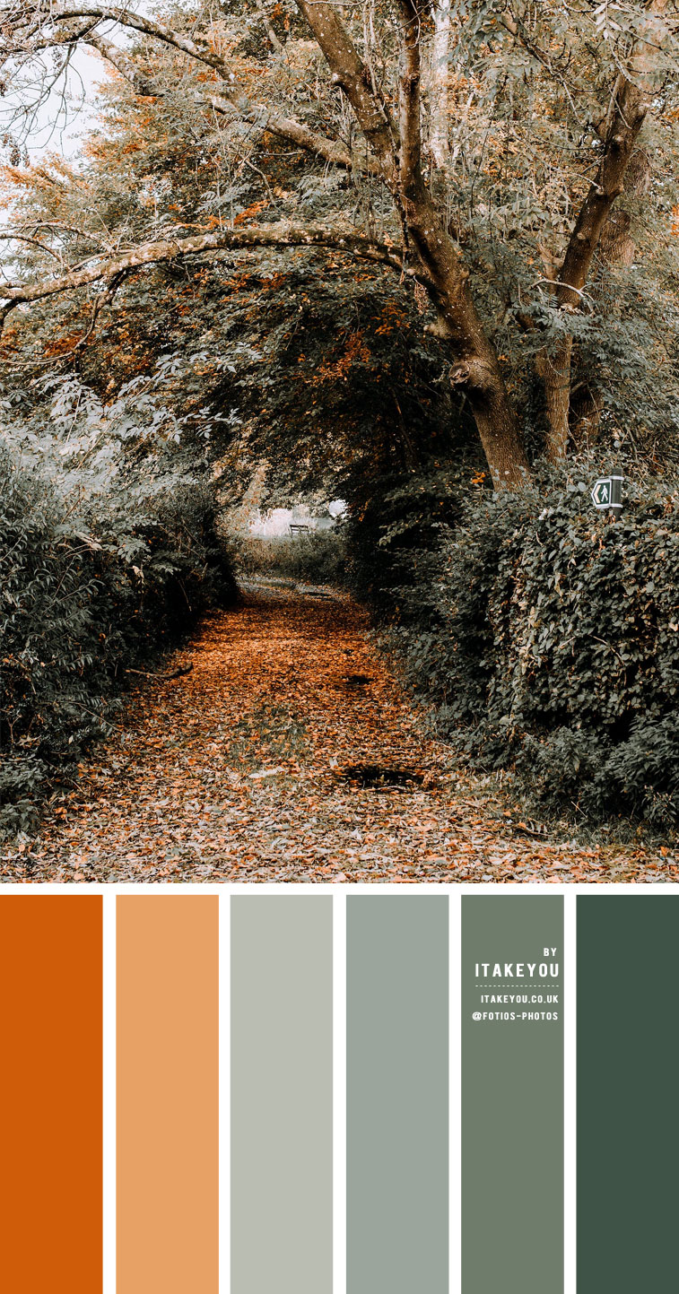 Sage and Rust Colour Combination  #Colour Palette 59
