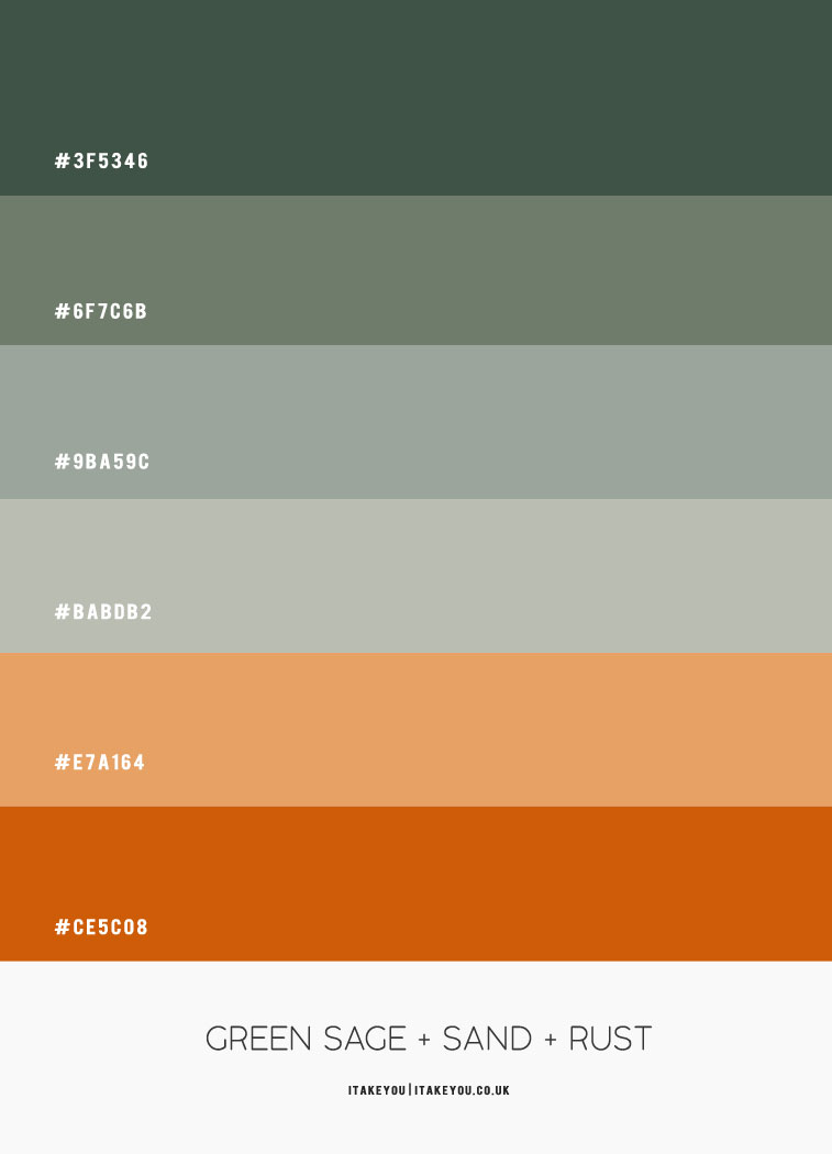 rust and sage color hex, rust and sage color, sage green color, sage green color trend, rust and sage color combo, sage color palette, sage and rust, sage green and brown color combination, shades of sage green, what color looks good with sage, sage and brown color palette, sage colour scheme