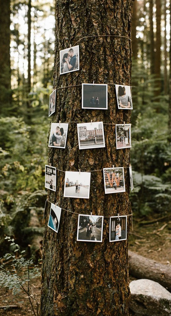 photo hanging on the tree, hanging wedding photo gallery, hanging photo on tree, woodland wedding decor