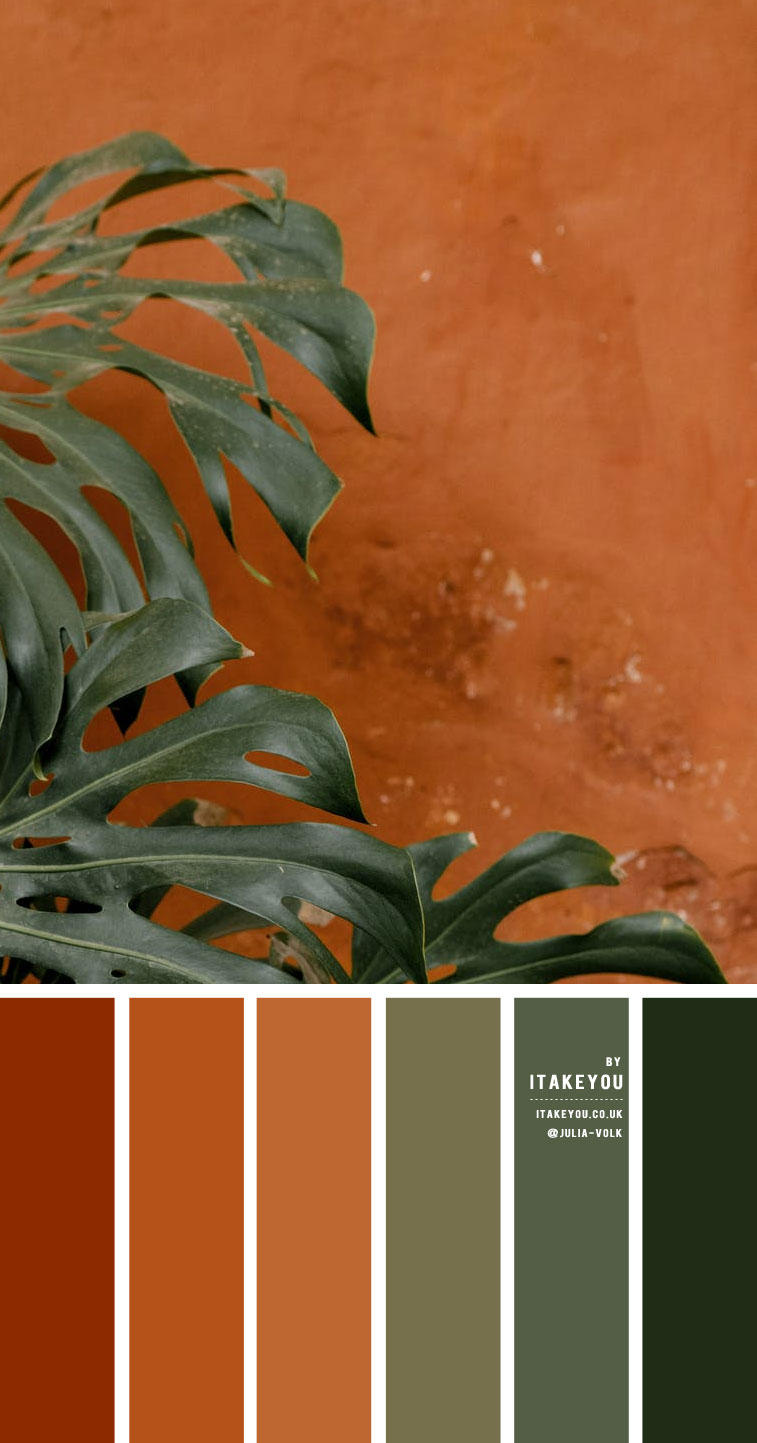 Terracotta Colour Combination  #Colour Palette 60