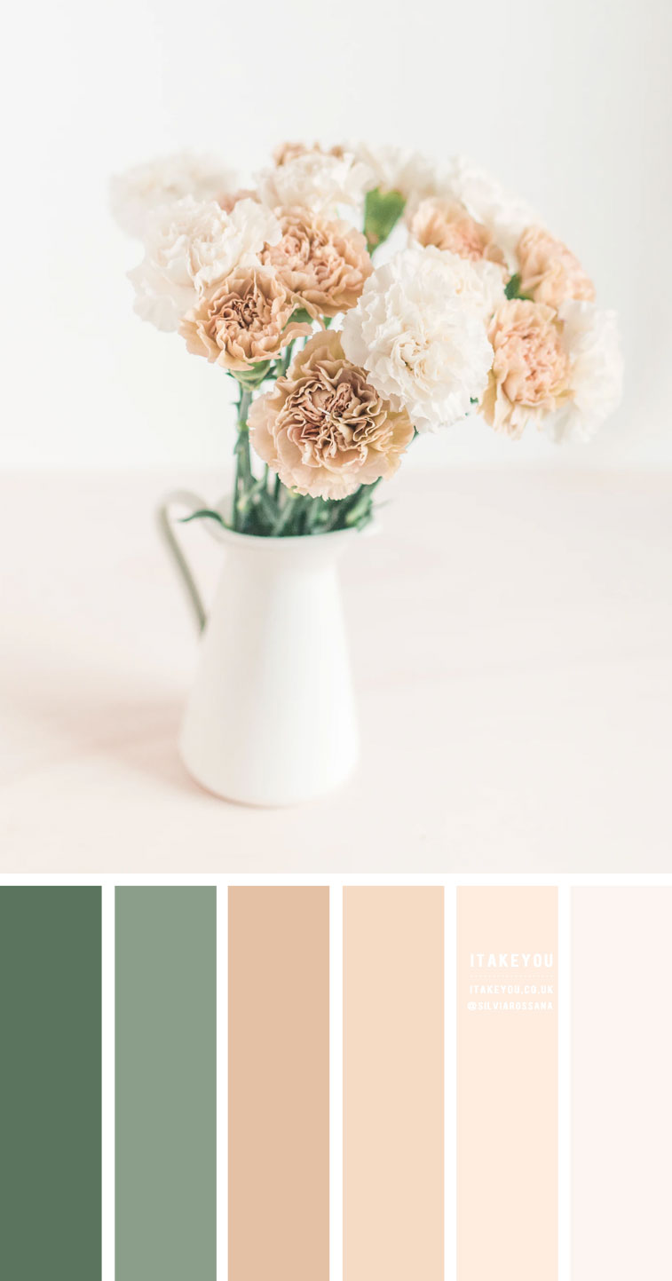 Sage and Taupe Colour Combination #Colour Palette 61