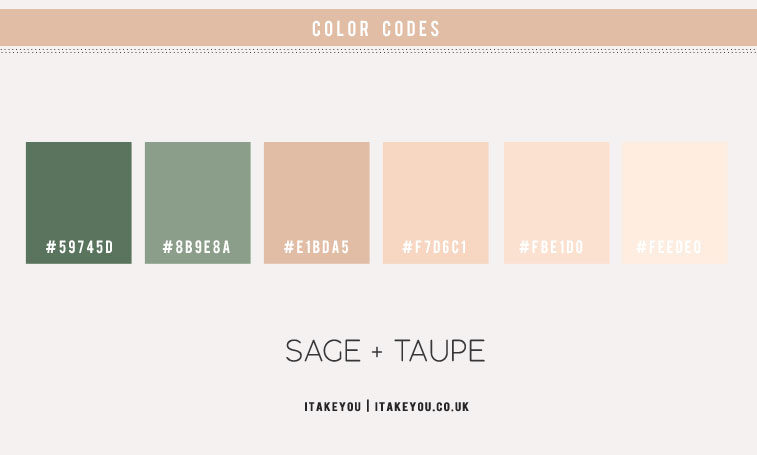 sage and taupe color hex, sage green and taupe , taupe and sage green , sage green and taupe , sage green and ivory , sage green and blush, sage color, taupe color, sage green colour scheme, sage and taupe color combination, sage and taupe color combo